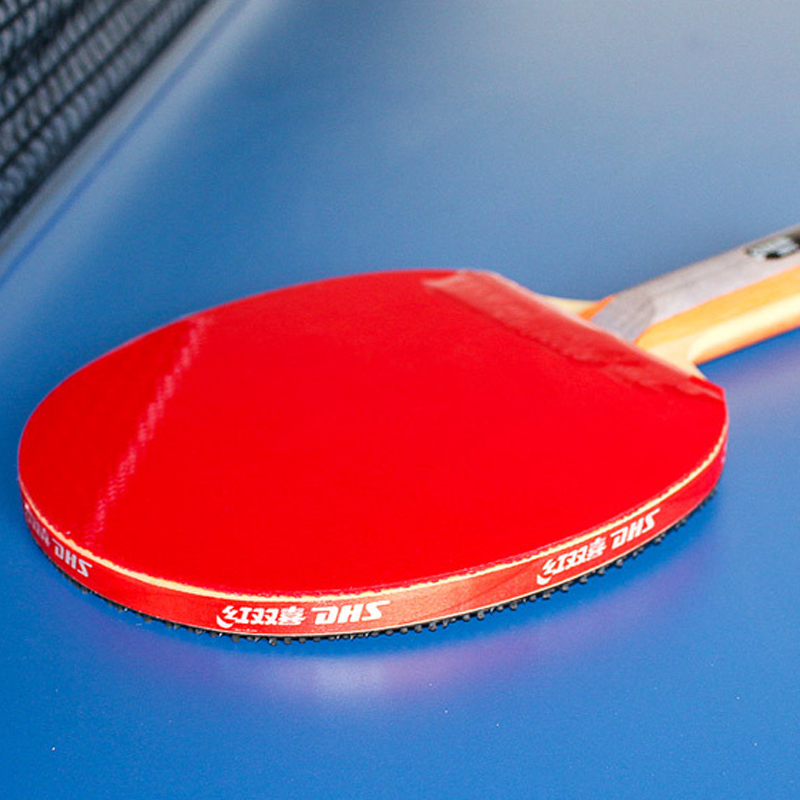 DHS Self-adhesive Table Tennis - Table Tennis Logo review and price